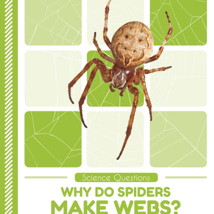 Science Questions: Why Do Spiders Make Webs?