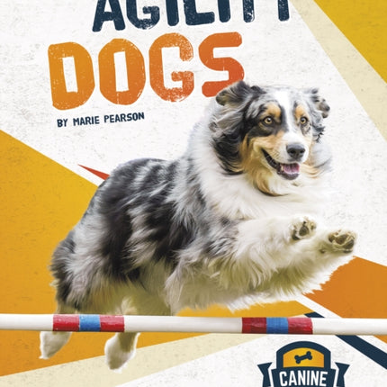 Canine Athletes: Agility Dogs