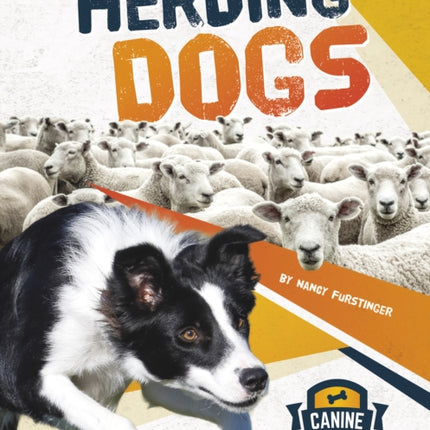 Canine Athletes: Herding Dogs