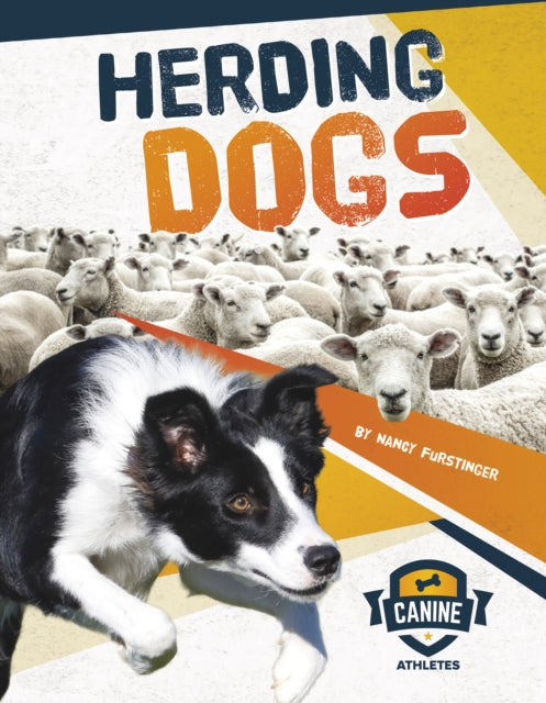 Canine Athletes: Herding Dogs