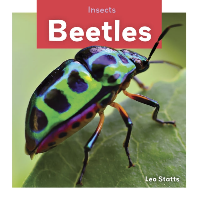 Insects: Beetles