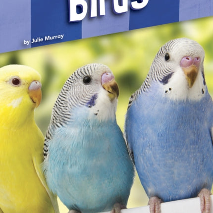 Pet Care: Birds