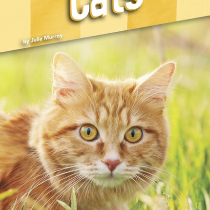 Pet Care: Cats