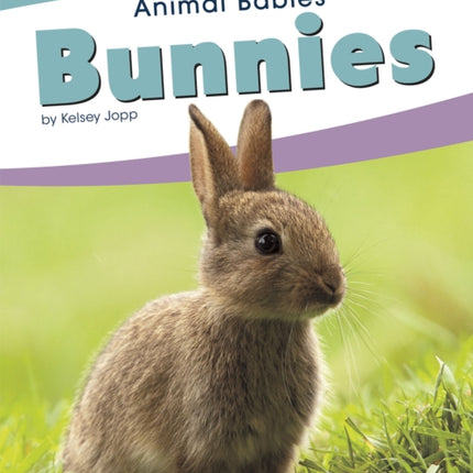 Animal Babies: Bunnies