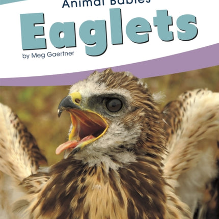 Animal Babies: Eaglets