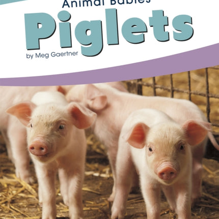 Animal Babies: Piglets