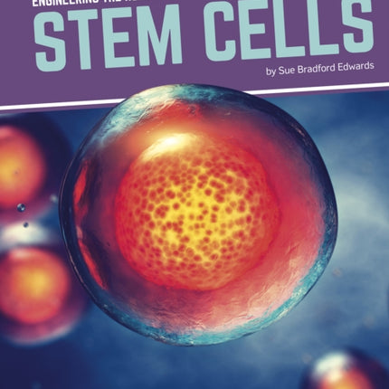 Engineering the Human Body: Stem Cells