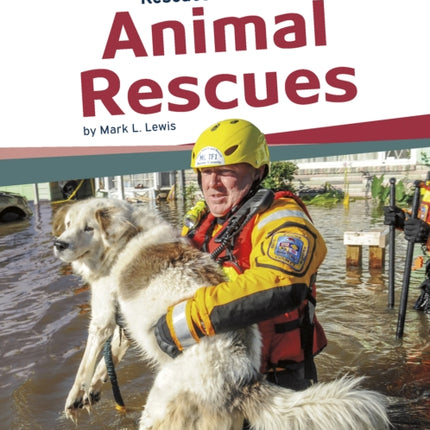 Rescues in Focus: Animal Rescues