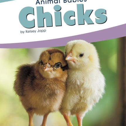 Animal Babies: Chicks