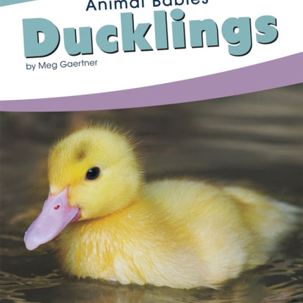 Animal Babies: Ducklings