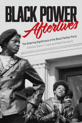 Black Power Afterlives: The Enduring Significance