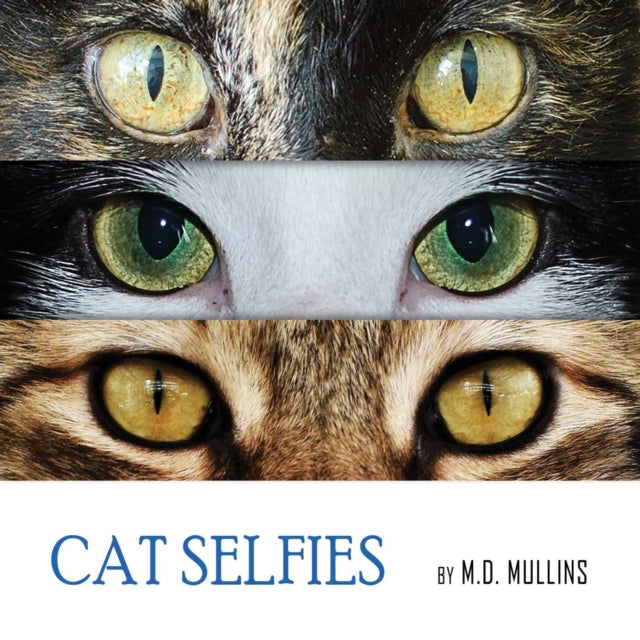 Cat Selfies