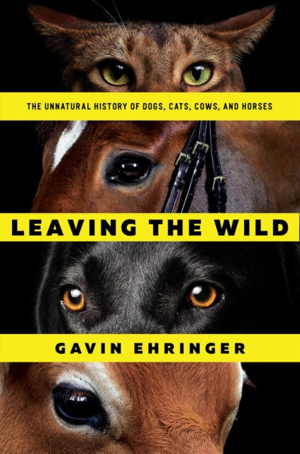 Leaving the Wild  The Unnatural History of Dogs Cats Cows and Horses