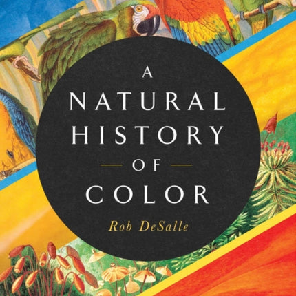 A Natural History of Color