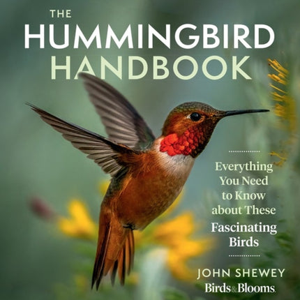 The Hummingbird Handbook: Everything You Need to Know about These Fascinating Birds