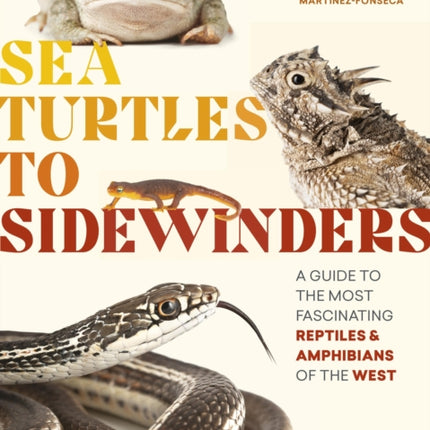 Sea Turtles to Sidewinders: A Guide to the Most Fascinating Reptiles and Amphibians of the West