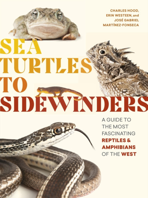 Sea Turtles to Sidewinders: A Guide to the Most Fascinating Reptiles and Amphibians of the West