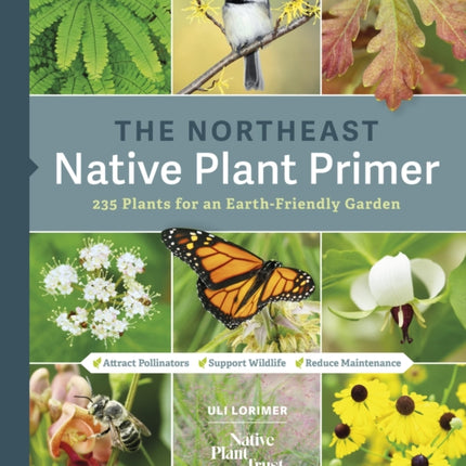 The Northeast Native Plant Primer: 235 Plants for an Earth-Friendly Garden