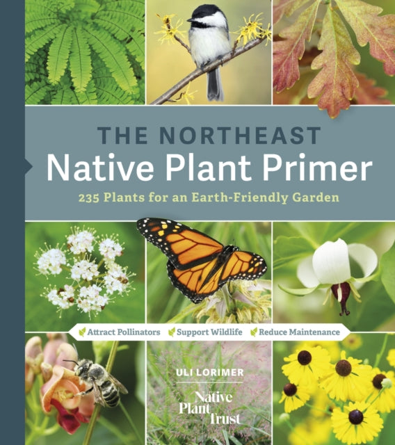 The Northeast Native Plant Primer: 235 Plants for an Earth-Friendly Garden