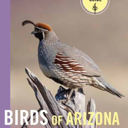 Birds of Arizona and New Mexico