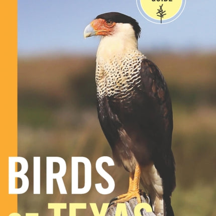 Birds of Texas