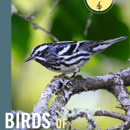 Birds of New England
