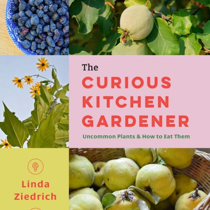 The Curious Kitchen Gardener