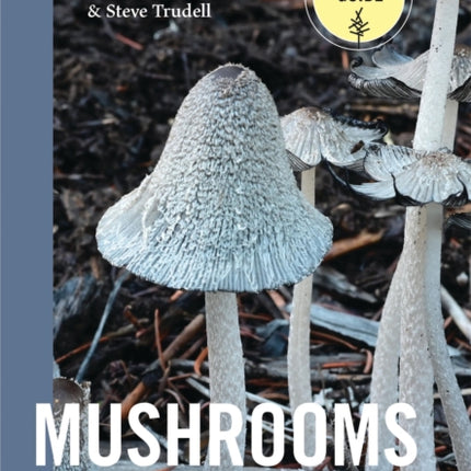 Mushrooms of Alaska