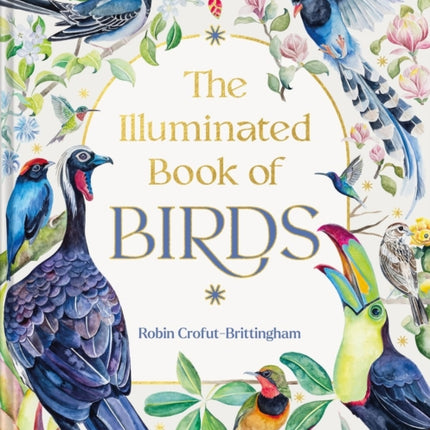 The Illuminated Book of Birds