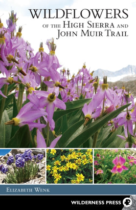Wildflowers of the High Sierra and John Muir