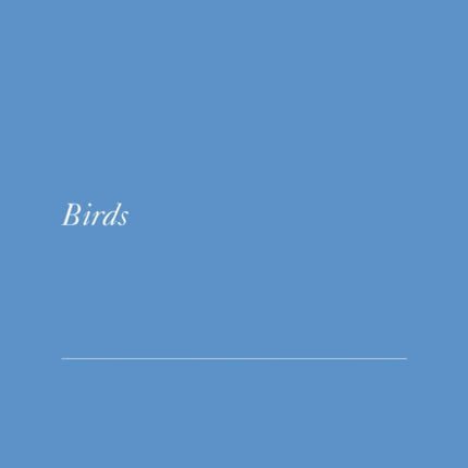 Birds