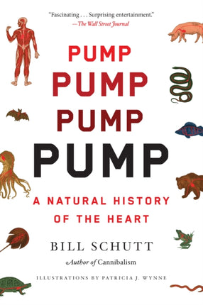 Pump: A Natural History of the Heart