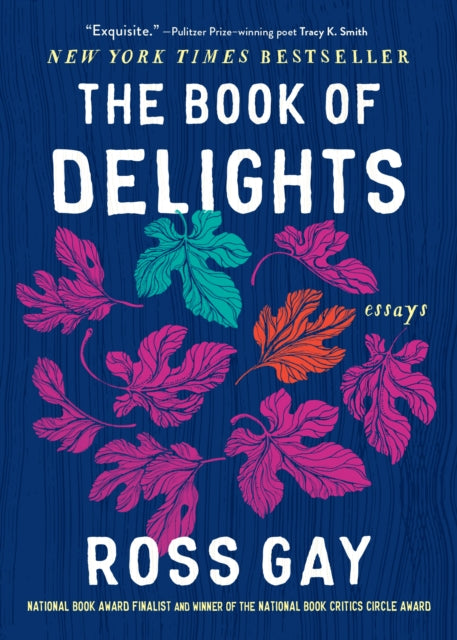 Book of Delights Esssays