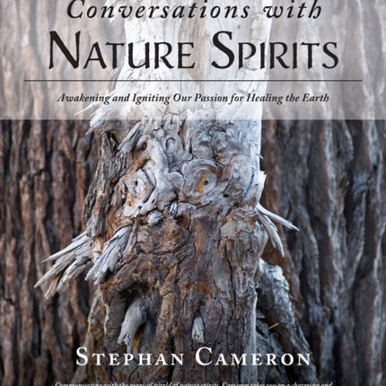 Conversations with Nature Spirits: Awakening and Igniting Our Passion for Healing the Earth