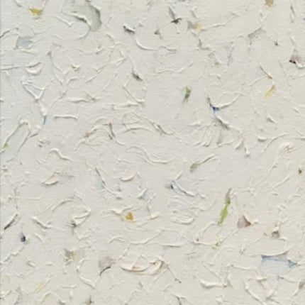 Robert Ryman