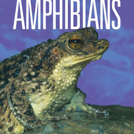 Amphibians Back from the Brink