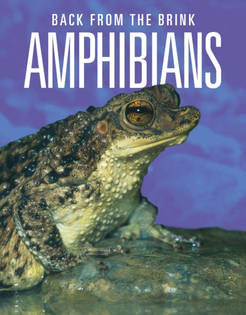 Amphibians Back from the Brink