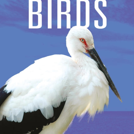 Birds Back from the Brink
