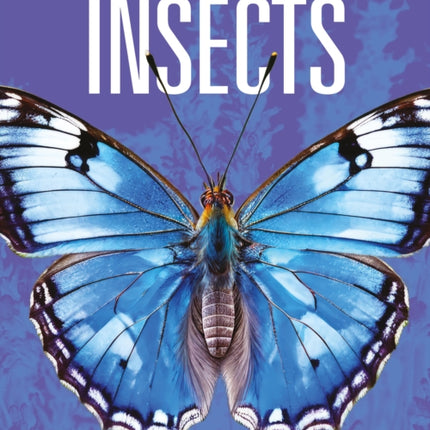 Insects Back from the Brink