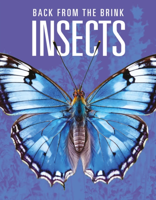 Insects Back from the Brink