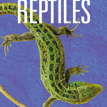 Reptiles Back from the Brink