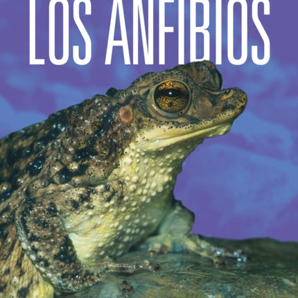 Los Anfibios Salvados de la Extinción