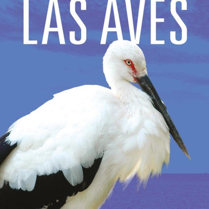Las Aves Salvados de la Extinción