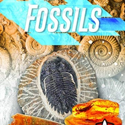 Fossils