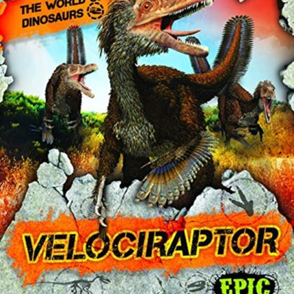 Velociraptor