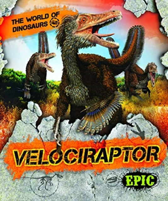 Velociraptor