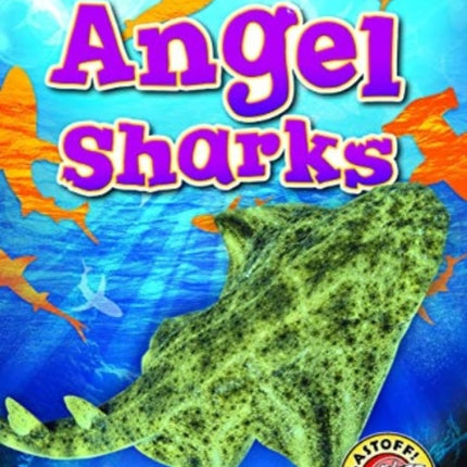 Angel Sharks