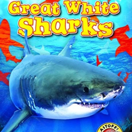 Great White Sharks