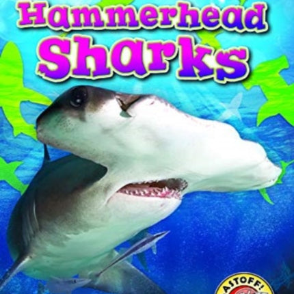 Hammerhead Sharks