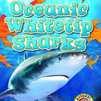 Oceanic Whitetip Sharks